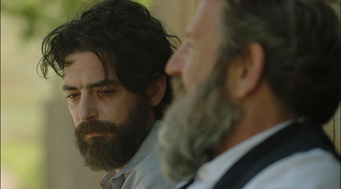 maraton de cinema romanesc la tiff 2021 record de filme in premiera mondiala