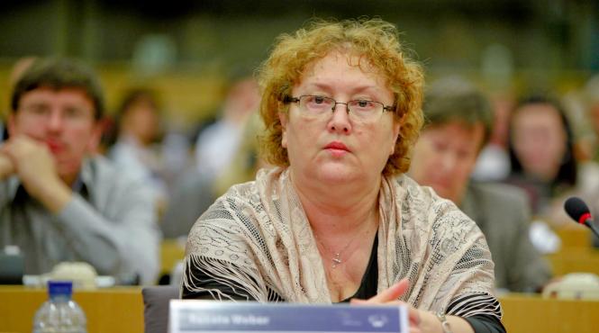 avocata care a bagat guvernul in corzi la iccj intervine in dosarul de la ccr privind revocarea renatei weber