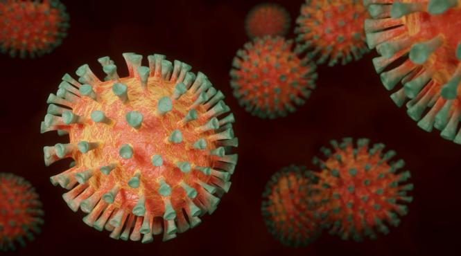 alerta maxima in brasov 140 de infectii cu norovirus la rasnov