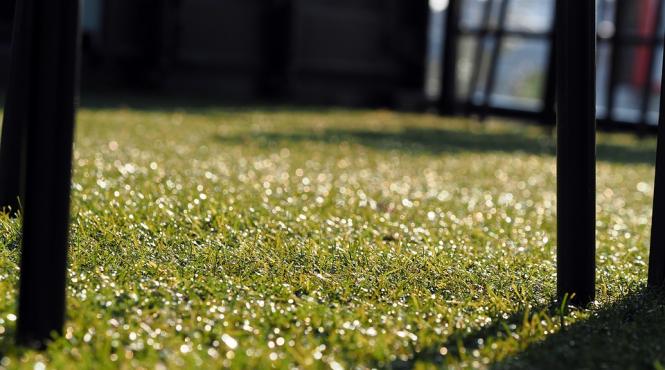 care sunt avantajele unui gazon artificial