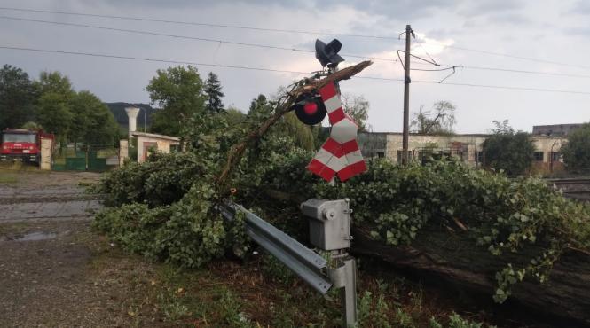 teribilism la trecerea la nivel cu calea ferata un sofer a fortat bariera