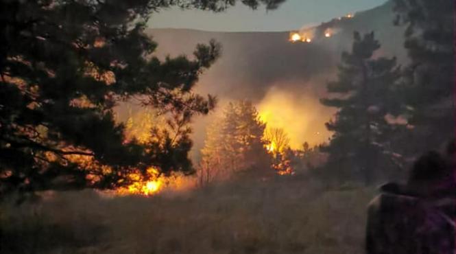 ncendiile de vegetatie din turcia continua 13 dintre acestea ard necontrolat