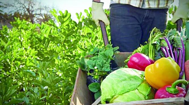 atitudinea generatiei z fata de produsele ecologice