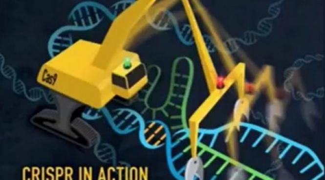 bioupgrade divizarea iremediabila a rasei umane