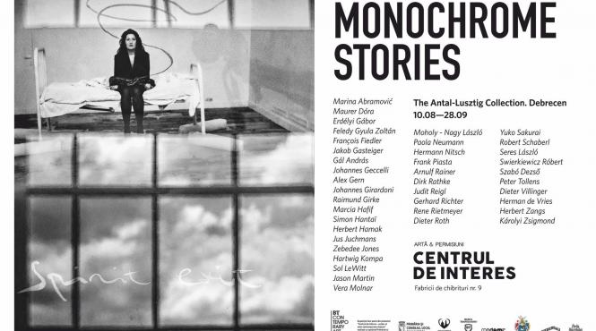 cea mai mare colectie privata de arta din ungaria expusa la centrul de interes marina abramovic gerhard richter sau sol lewitt printre artistii expusi