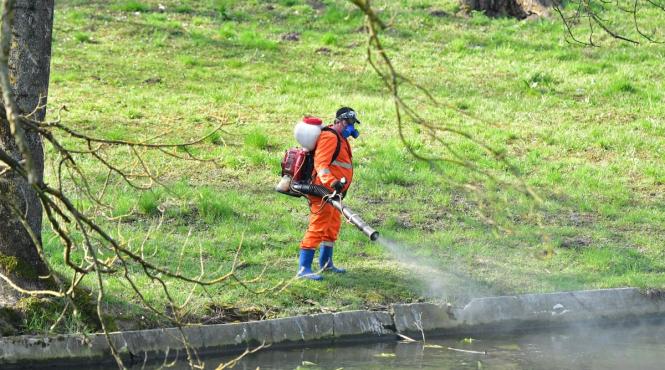 incepe campania de combaterea daunatorilor in capitala