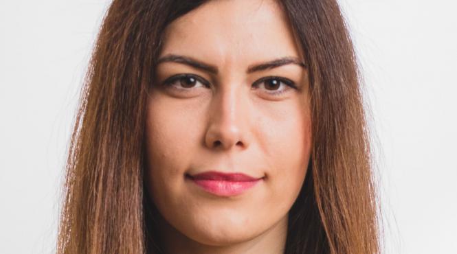 lider usr despre pndl3 nou program de cumparat primari si alimentat clientela politica