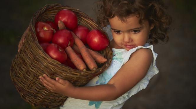 dor de viscri primul album fotografic dedicat celui mai indragit sat din romania