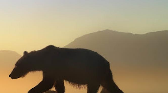 competitia internationala alpin film festival expeditii unice povesti despre performante impresionante si peisaje spectaculoase