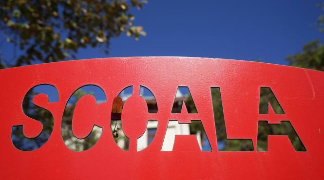 scolile nu vor mai avea conducere numita politic