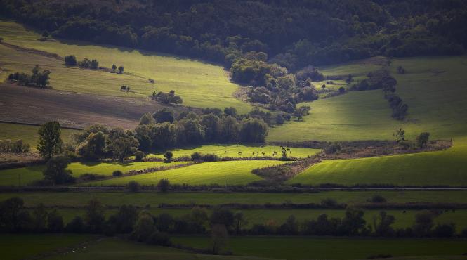 italia vinde proprietati la 1 euro case de vis privelisti uimitoare care sunt conditiile