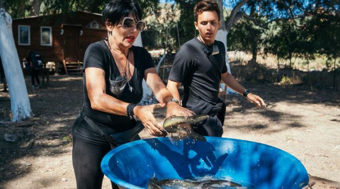 misiunile de pe drumul imparatilor continua sa socheze eu in viata mea nu as fi pus mana pe asa ceva