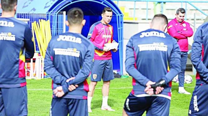 n turma de miei a lui radoi merge ca la taiere la hamburg domnilor nemti nu ne dati prea multe