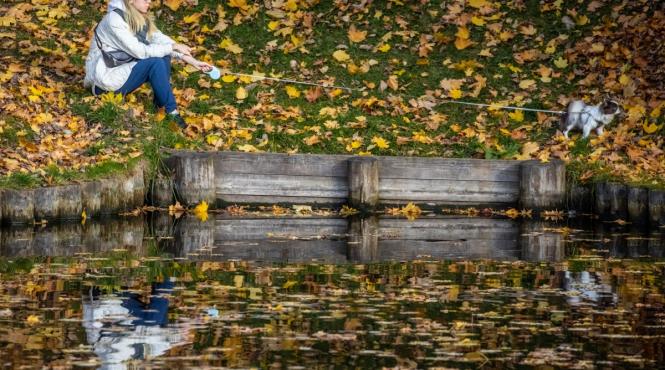 horoscop zilnic 20 octombrie 2021 gemenii vor avea succes scorpionii trebuie sa fie ma organzati