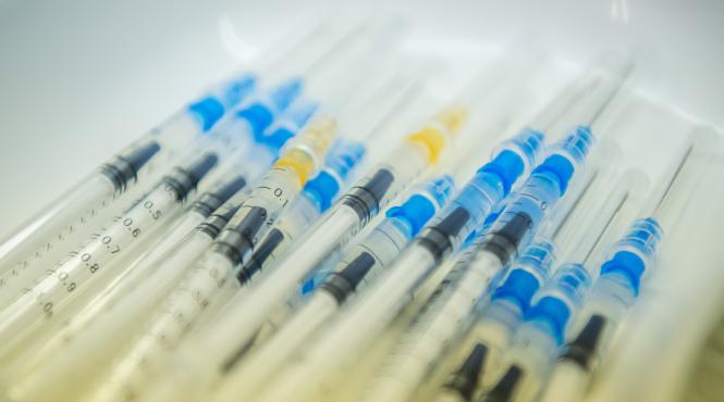 certificatele verzi s ar obtine in cel putin o luna