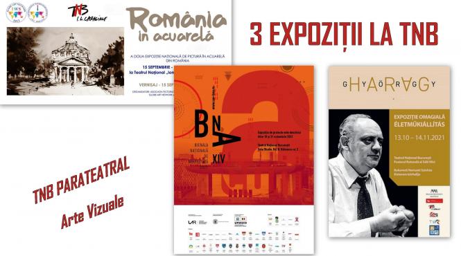 trei expozitii atractive si interesante in foaierele tnb