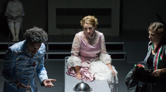 spectacole de exceptie la teatrul tamasi aron in luna noiembrie