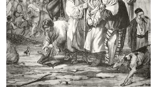 povestile crizelor sanitare urbane