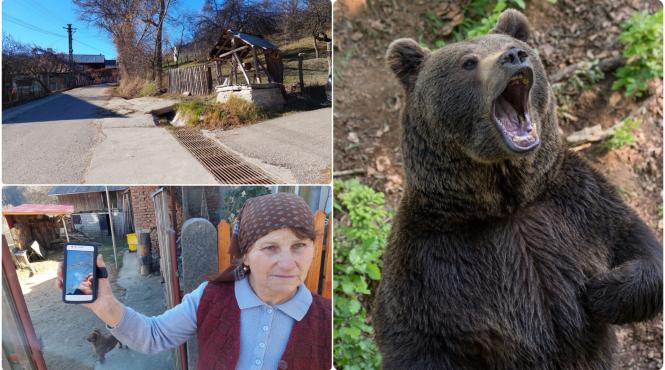 asaltul lui craca la 112 autoritatile mobilizate cu injuraturi virale