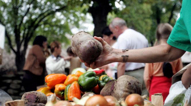 agricultura ecologica are reguli noi de la 1 ianuarie 2022