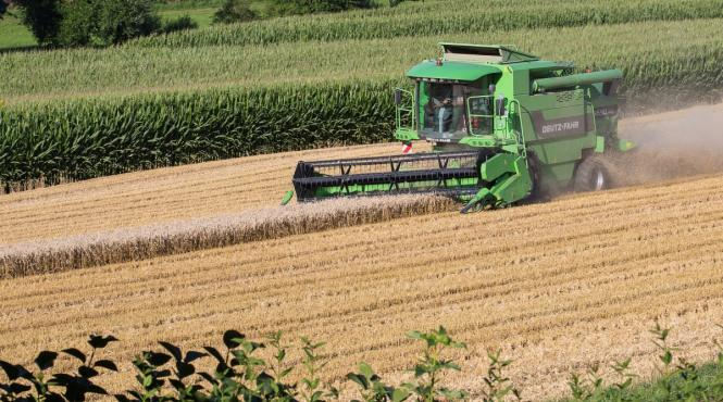 romania printre cei mai mari exportatori de grau egiptul a achizitionat 240 000 de tone