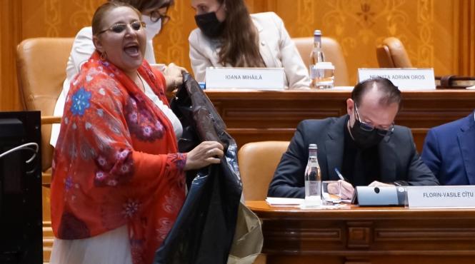 video scandal in parlament diana sosoaca a venit cu botnita in semn de protest