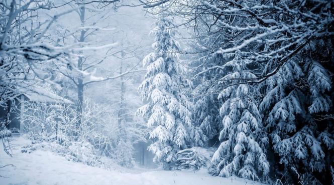 vremea in luna ianuarie temperaturi normale in toata tara si precipitatii doar in anumite regiuni