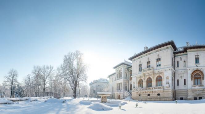 86 400 de euro costa deszapezirea si salubrizarea la palatul cotroceni in 2022 achizitie fara licitatie