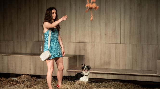 baiatul vaduva spectacol despre realitatea stigmatelor sociale semnat de eugen jebeleanu intra in repertoriul teatrelli