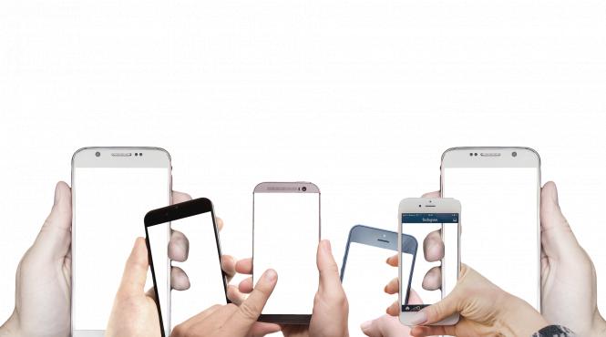 revolutia verde a inceput in lumea occidentala dar flacara ei este intretinuta de china