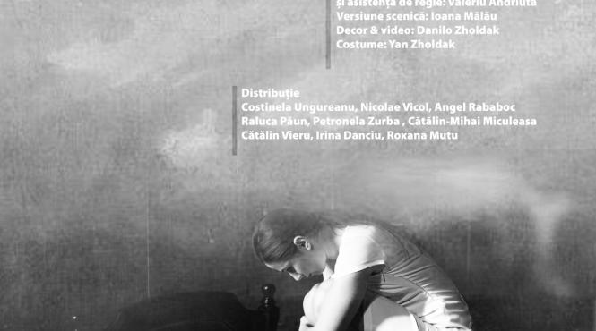 premiera semnata andriy zholdak la nationalul craiovean femeia marii de henrik ibsen