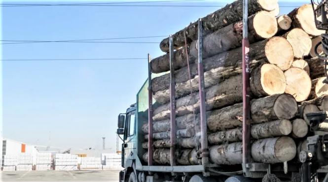 actul normativ care interzice restrictiile de pandemie si liniile progresiste padurile nu mai pot fi taiate si vandute in urmatoarea suta de ani