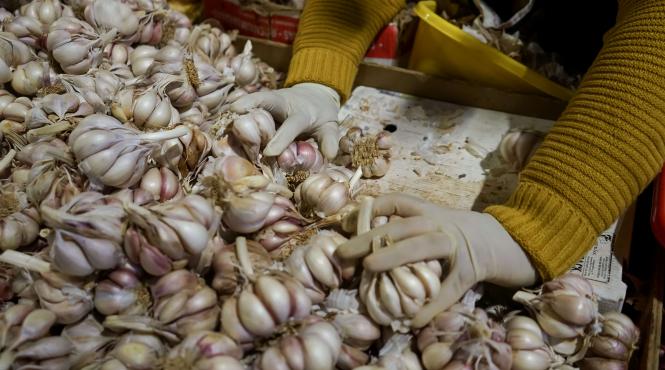 exporturile chinezesti de usturoi si ghimbir lovite de razboi