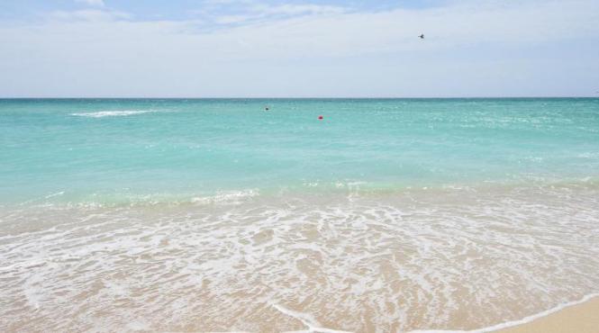 idei de distractie pe litoralul romanesc in vara 2022