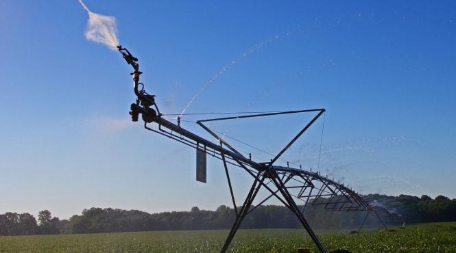 finantarile prin politica agricola comuna conditionate de utilizarea sustenabila a apei