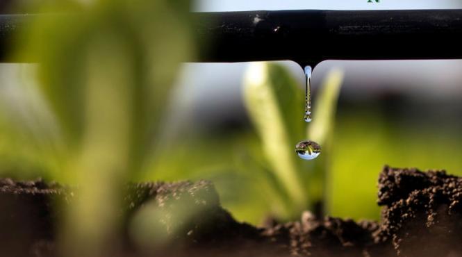 te gandesti sa instalezi un sistem de irigare disponibil la nu oricum afla tot trebuie sa stii