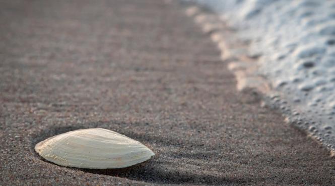 costinesti cum te distrezi aici cand vii pentru un weekend sau o vacanta