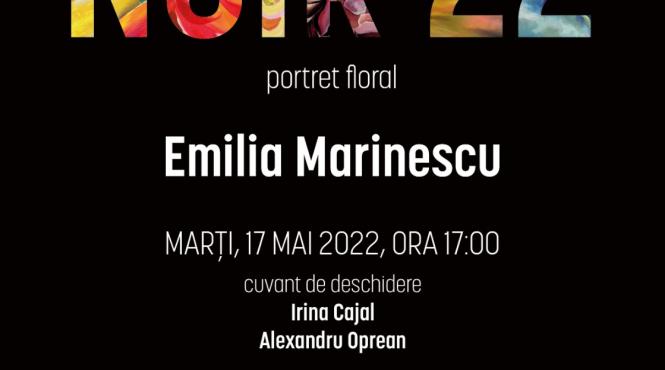 expozitia pictoritei emilia marinescu noir 22 la opera nationala bucuresti
