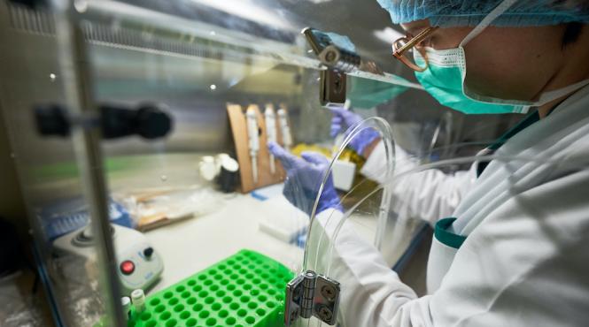 cel mai mare risc al epidemiei de monkeypox din europa animalele pot deveni rezervoare naturale de virus