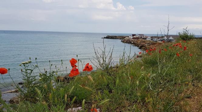 litoralul la control preturi spinoase apa rece si conditii cu adevarat rurale la 2 mai jurnal de vacanta la mare 2 mai visul unui miez de vara