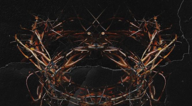 trupa the case a lansat throne un single cat o calatorie in intimitatile mintii