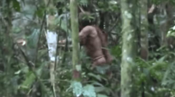 crima din jungla amazoniana jurnalistul britanic a fost impuscat cu munitie de vanatoare