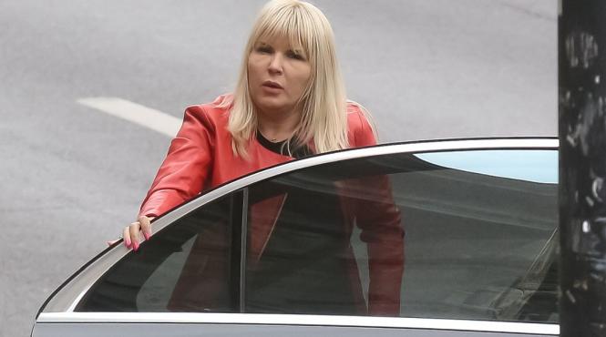 elena udrea cere achitarea luni se judeca recursul in casatie