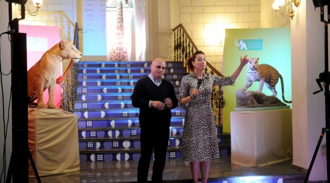 start saptamana antipa la art safari si saptamana art safari la antipa palatul dacia romania gazduieste exponate vedeta de la muzeul antipa dar si piese din colectiile nevazute iar antipa expune tablouri de aman printre diorame si dinozauri