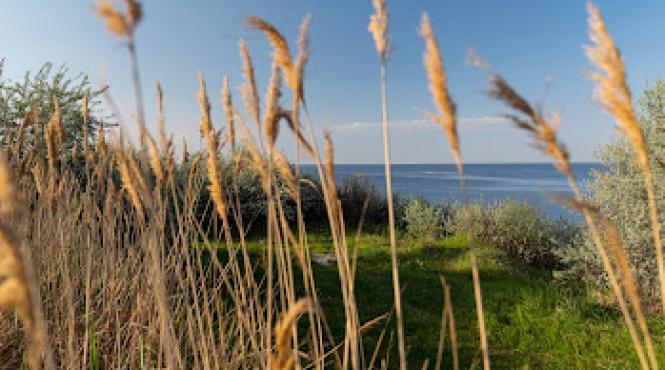 living rock festivalul alternativ de pe plaja salbatica tuzla isi anunta line up ul complet