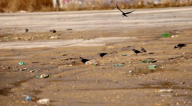 8 din 10 deseuri aruncate pe litoral sunt din plastic