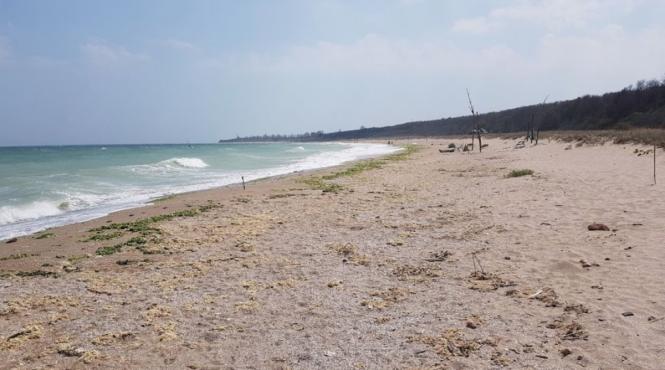 vama veche bulgareasca un paradis pe care noi l am pierdut acum 20 de ani nu vrem nebunia de la voi