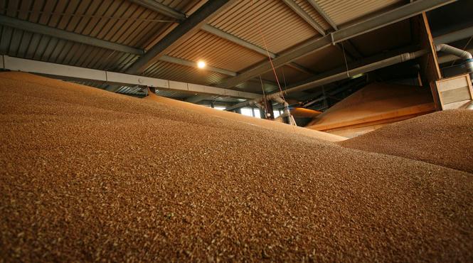 statul plateste 104 milioane de lei pentru depozitarea graului la rezerva strategica