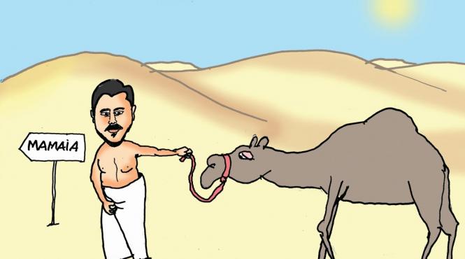 cine i ar fi putut salva lui marica jumatatea de milion de euro pierduta