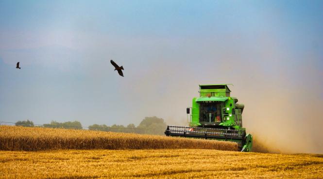 exporturile de cereale ale romaniei au crescut cu peste 77 in primele 5 luni din 2022